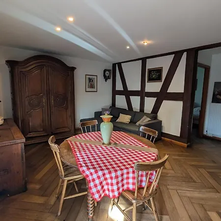 Les Perles Du Ried - Gite 1 - Proche Europapark, Entre Colmar Et Strasbourg