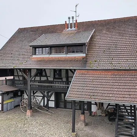 Les Perles Du Ried - 1 - Proche Europapark, Entre Colmar Et Strasbourg Διαμέρισμα *